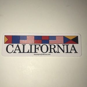 Rare Brandy Melville Sticker!